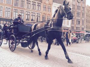 12077511_10153068309986820_212905676_n