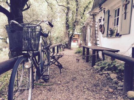 12087578_10153068219171820_1627250675_n