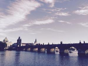 12092541_10153070693736820_1241254419_n