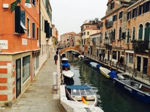 12204876_10153124616406820_1393215393_n