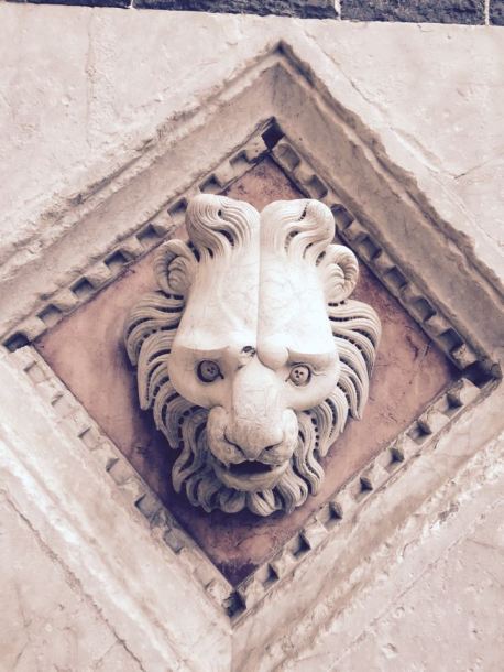 12243849_10153144802421820_1415628804_n