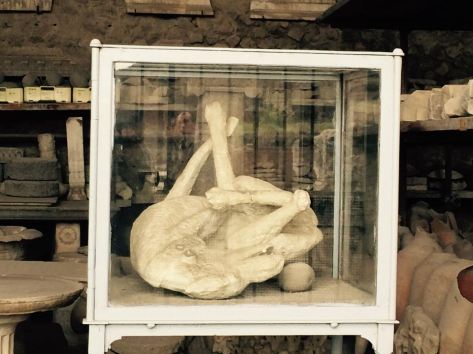 12312222_10153162734546820_1329275778_n