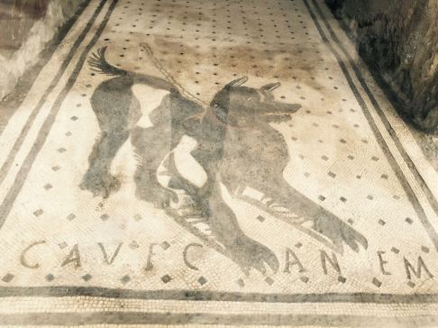 12336017_10153162734671820_537666719_n